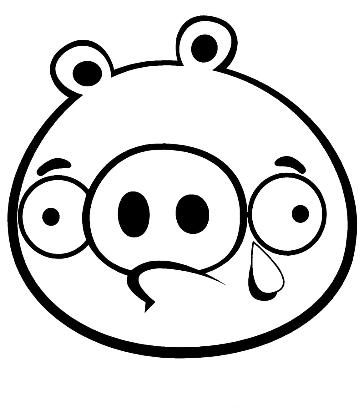 Desenho Angry Birds Porco Chorando para Colorir em Pdf Gratuito