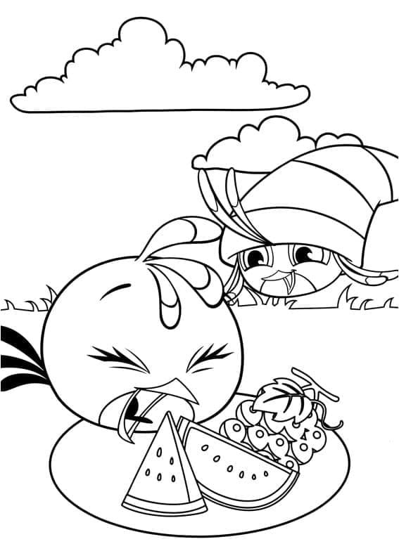 Desenho Angry Birds Stella e Willow Comendo Frutas em Piquenique no Parque para Colorir