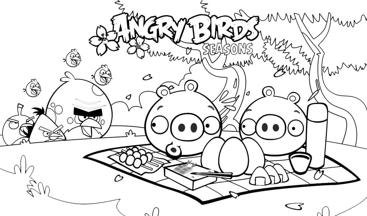 Desenho de Piquenique no Parque do Angry Birds para Colorir