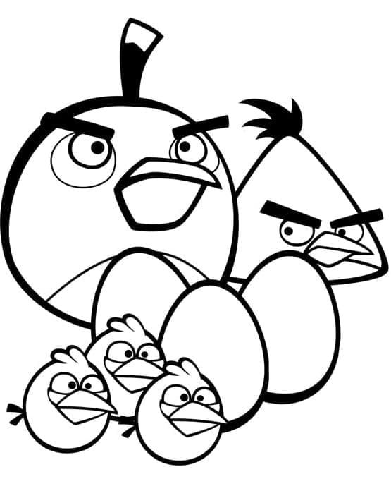 Desenho Pássaros de Angry Birds e Ovos para Imprimir em Pdf