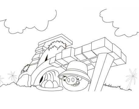 Desenho Porco Encontrando Ovos De pássaro Em Angry Birds Para Colorir