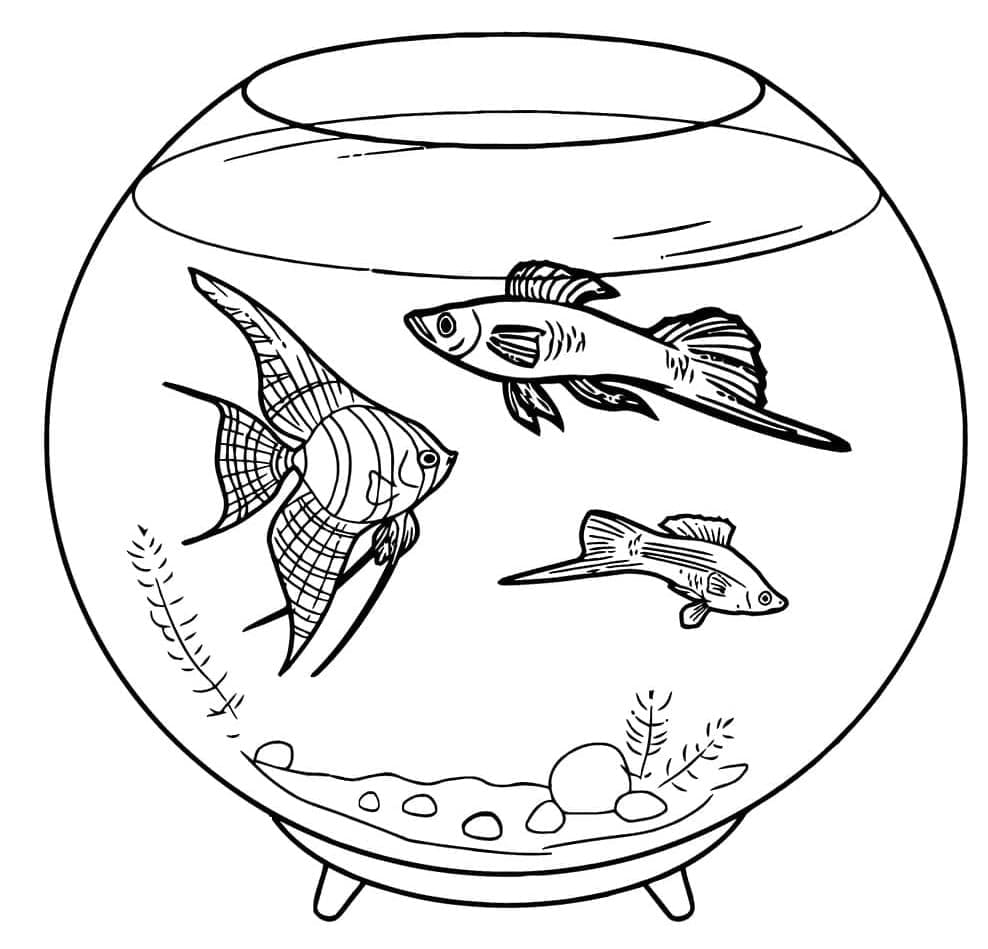 Desenho de Belos Peixes no Aquário para Colorir