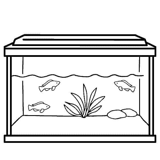 Desenho de Grande Aquário para Colorir