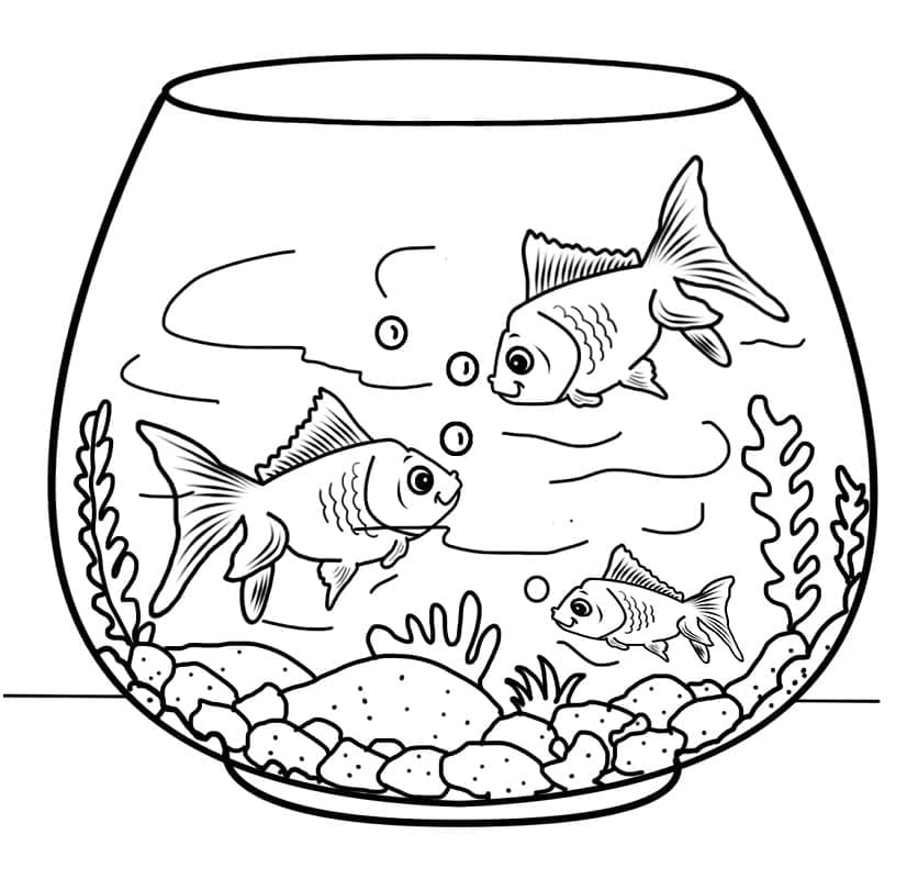 Desenho de Lindo Aquário para Colorir
