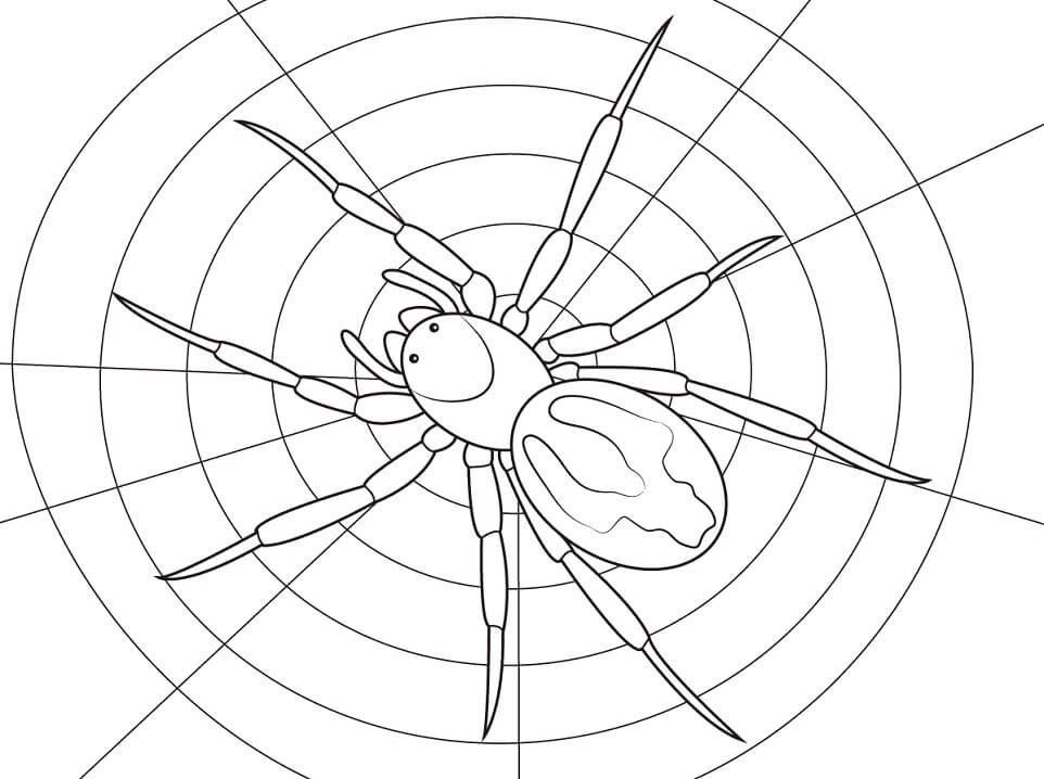 Baixar Imagem de Aranha para Imprimir