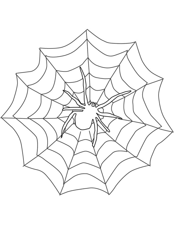 Desenho de Aranha em Teia Gigante