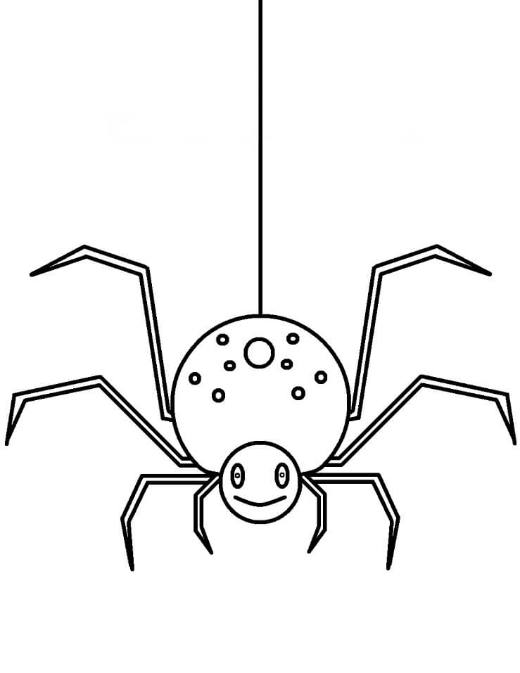 Desenho de Aranha Pequena Pendurada por Teia para Colorir
