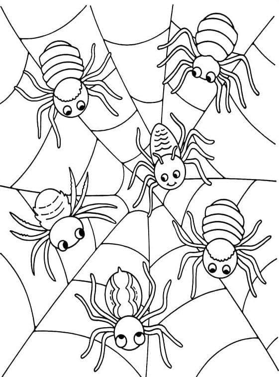 Desenho de Aranhas para Colorir