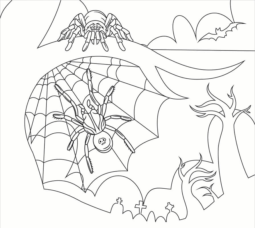 Desenho de Duas Aranhas no Dia das Bruxas para Colorir