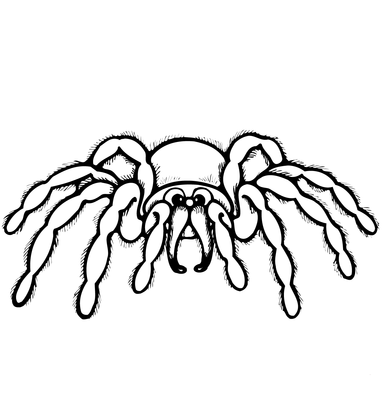 Desenho de uma Aranha de Desenho Animado para Pintar Grátis