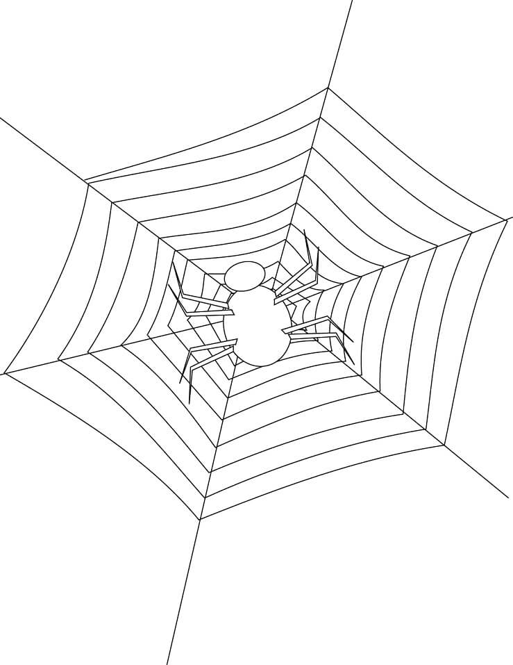 Desenho Fácil de Colorir de uma Aranha em Teia Grande