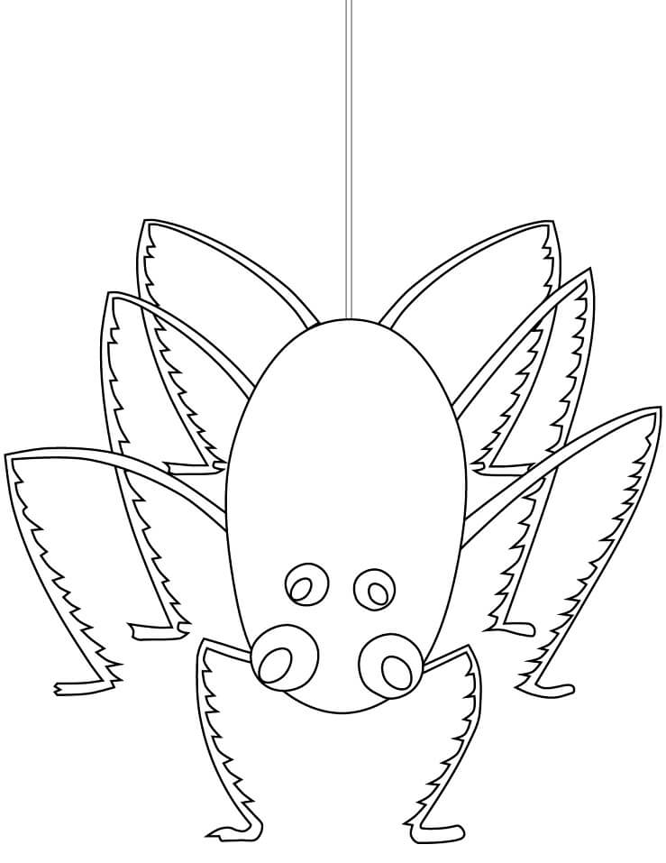 Desenho Foto de Aranha para Imprimir e Pintar Pdf Grátis