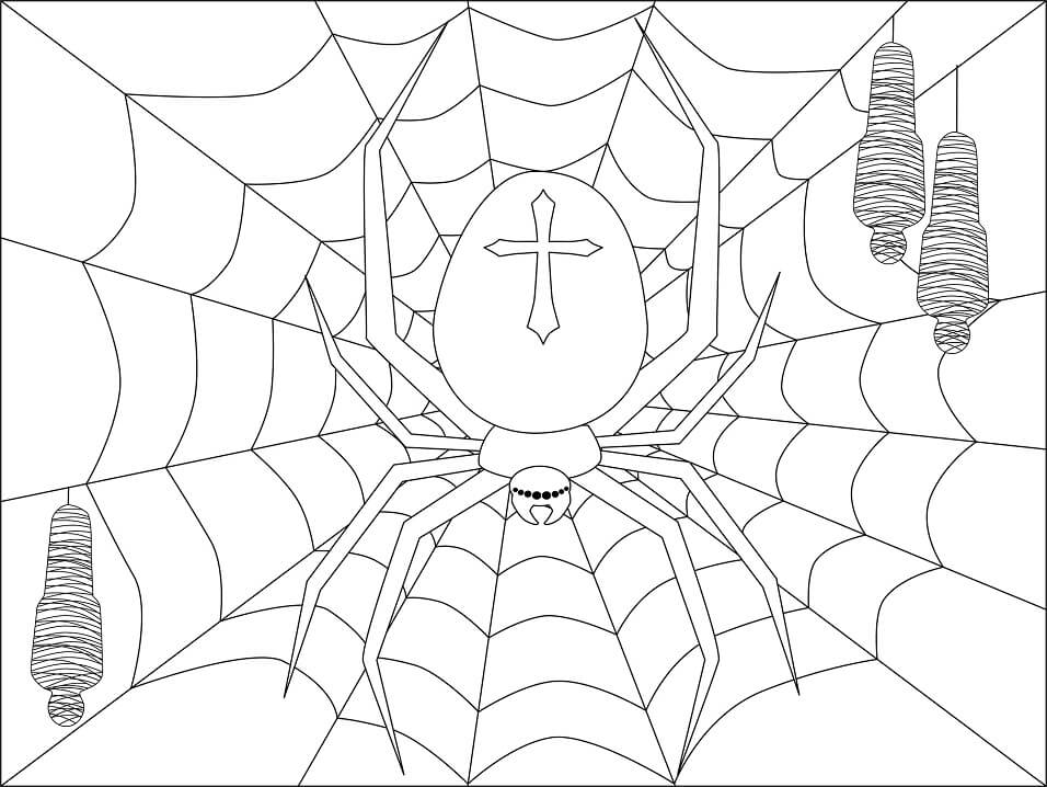Desenho Gratuito de Aranha de Halloween para Colorir Grátis