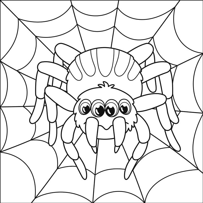 Desenho Incrível de Aranha Gigante para Colorir com Lápis de Cor