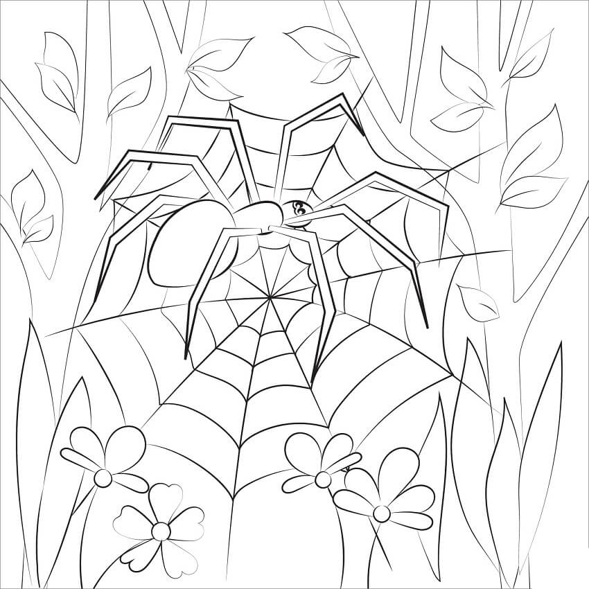Desenho Pdf de Aranha em Teia no Jardim da Casa para Pintar