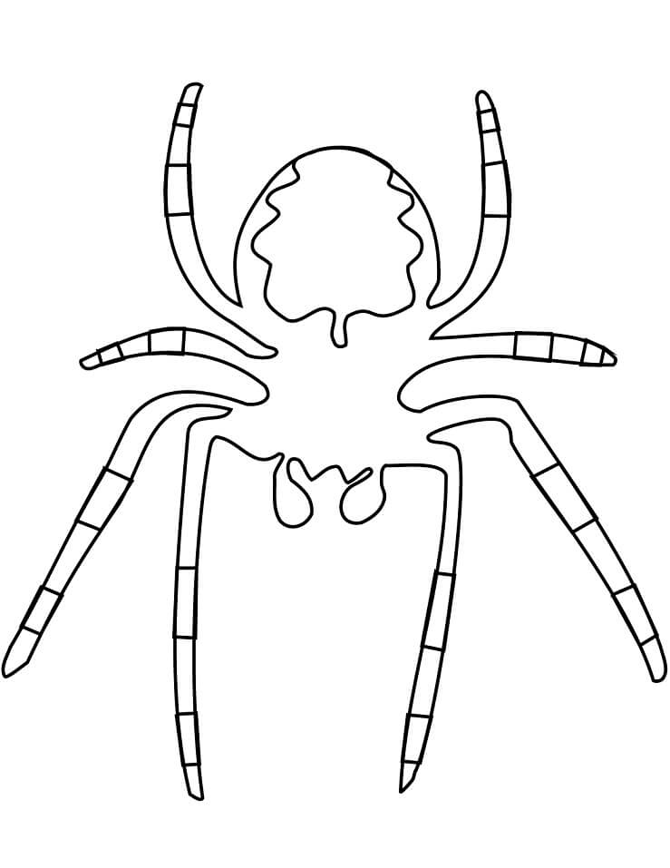 Download de um Desenho de Aranha para Colorir Online Fácil