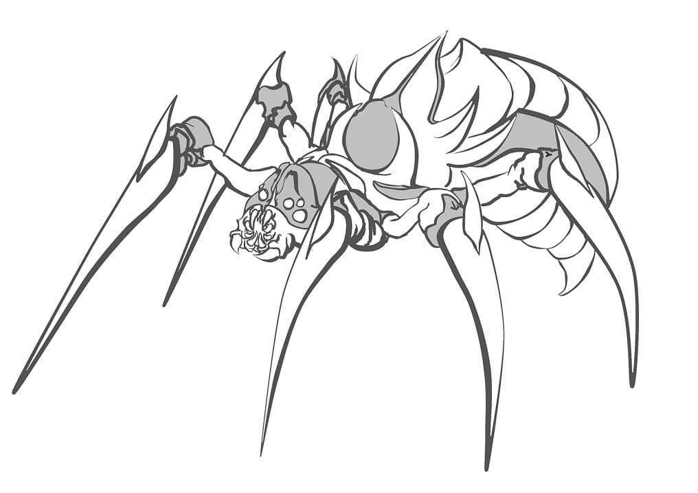 Ilustração em Desenho de Aranha para Pintar