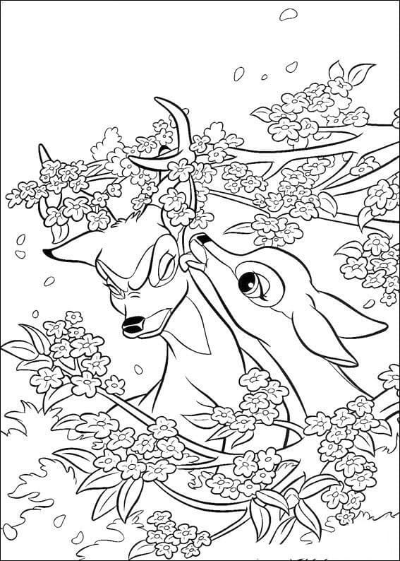 Desenho de Faline e Bambi para Colorir