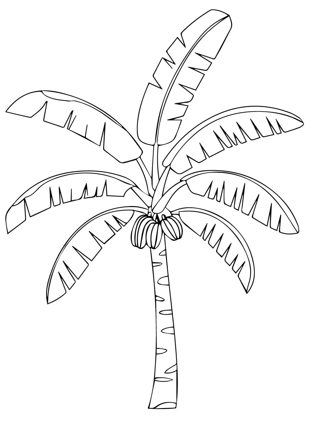 Desenho de Bananeira Imprimivel Grátis para Colorir
