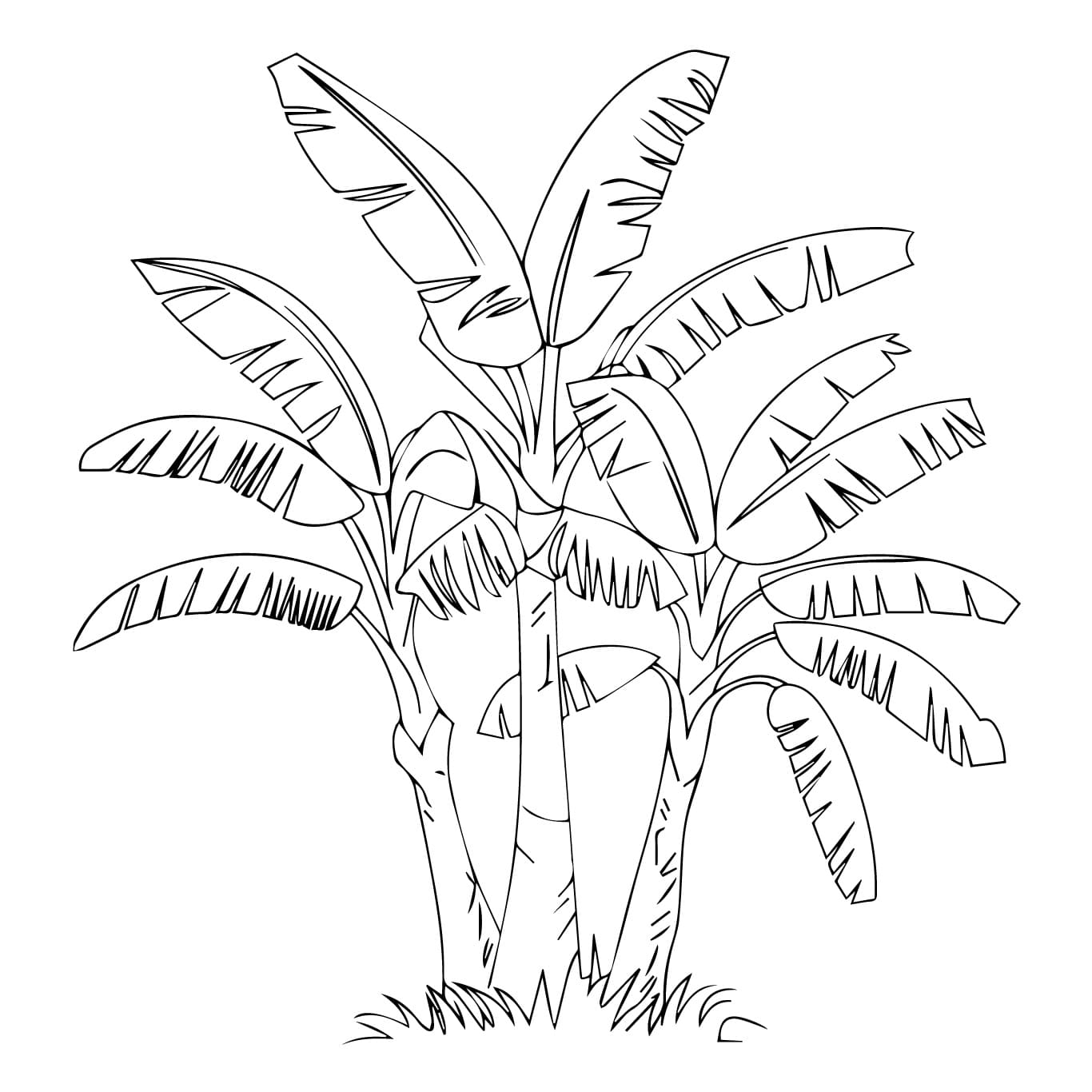Desenho de Bananeira para Crianças de 3 Ano para Colorir