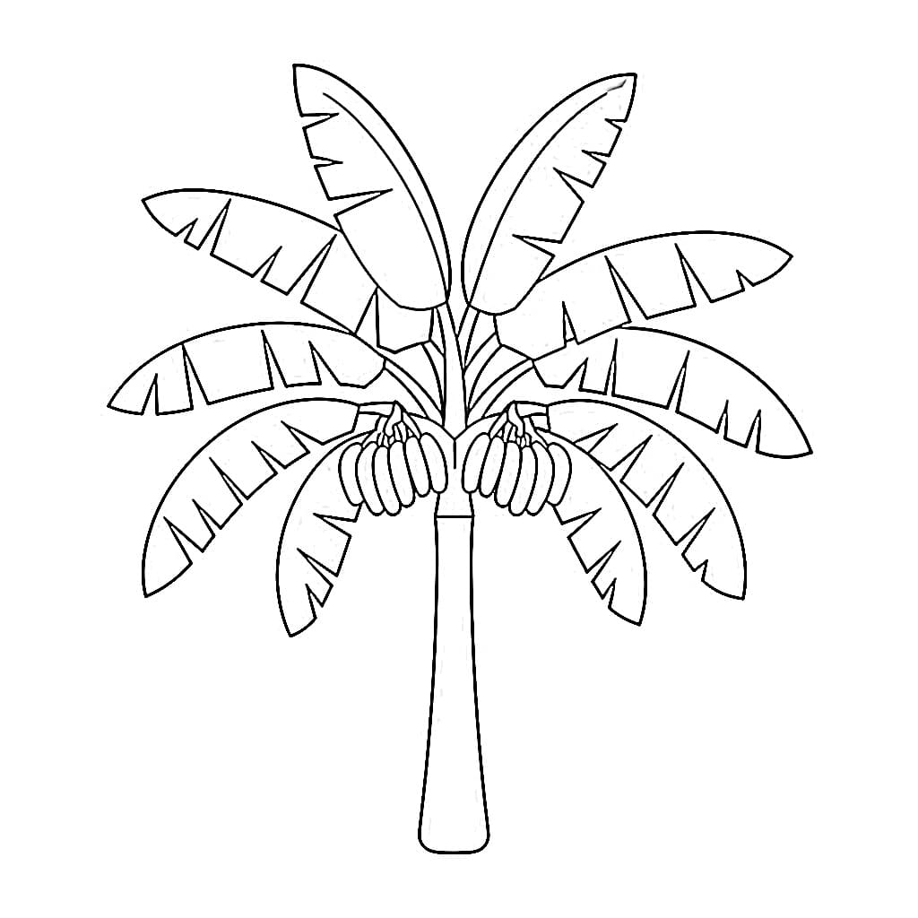 Desenho de Bananeira para Crianças para Colorir