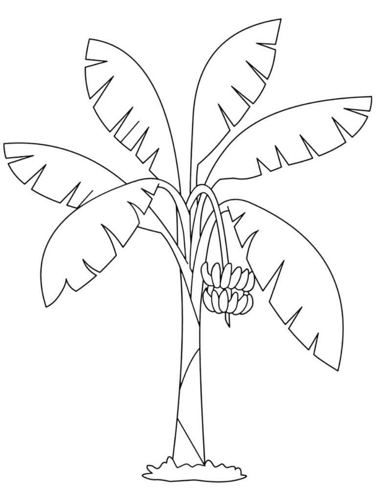 Desenho de Imagem de Bananeira para Colorir