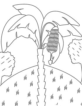Desenho de Imprimível Bananeira para Colorir