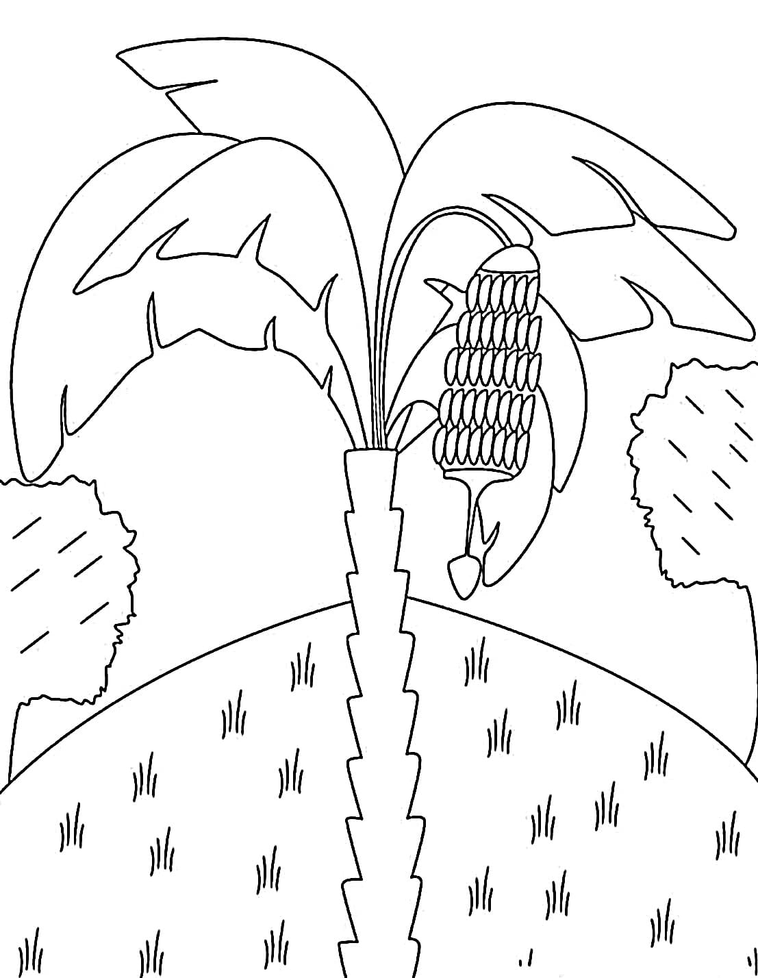 Desenho de Imprimivel Bananeira para Colorir