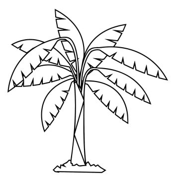 Desenho de Uma Bananeira Normal para Colorir