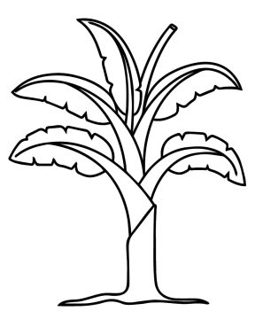 Desenho de Uma Bananeira Simples para Colorir