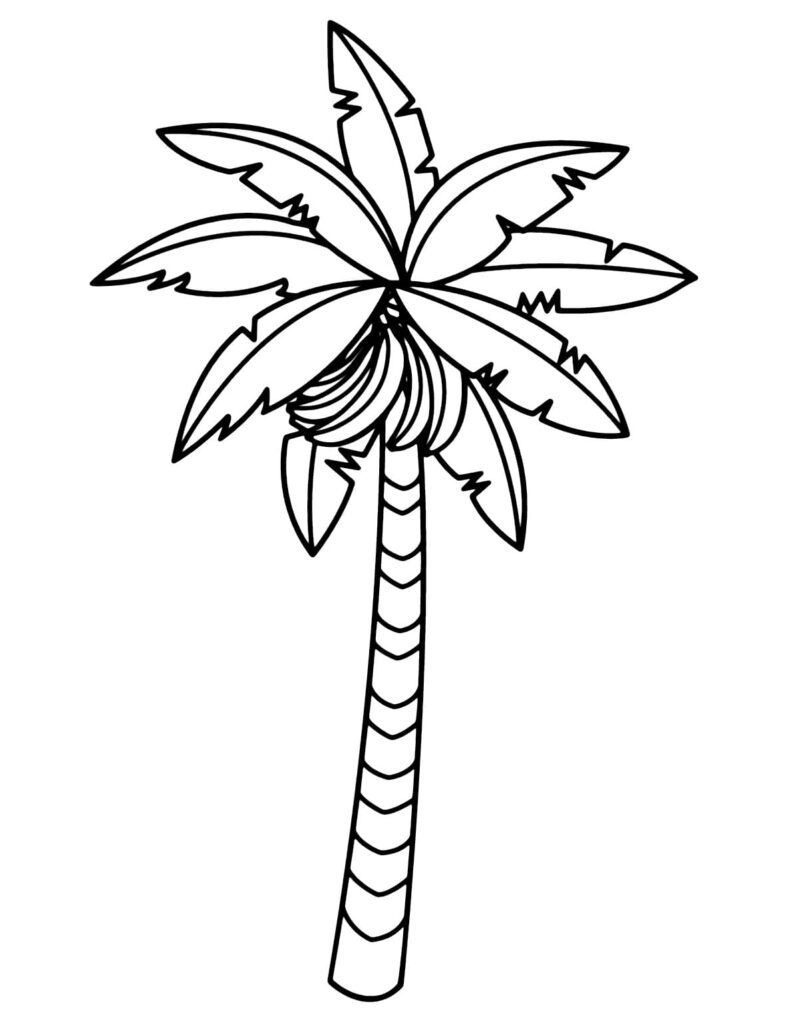 Desenho de uma Bananeira para Colorir
