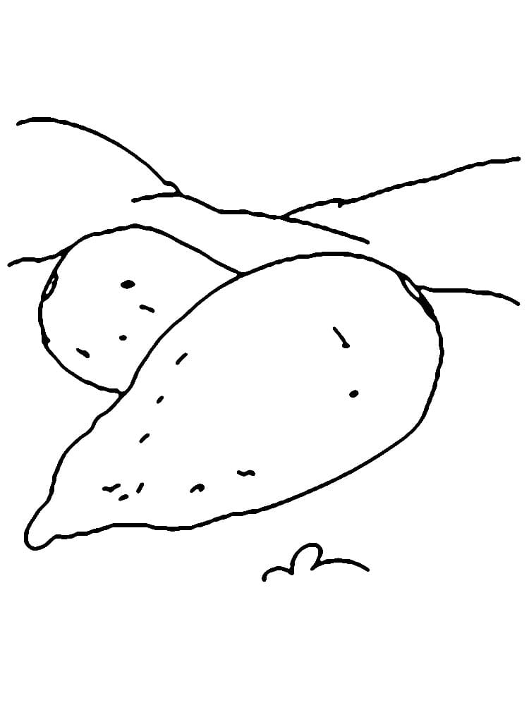 Desenhos de Batata Doce para Colorir