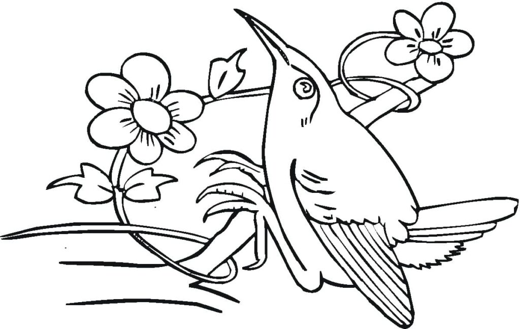 Desenho de Beijá Flor para Colorir Pdf