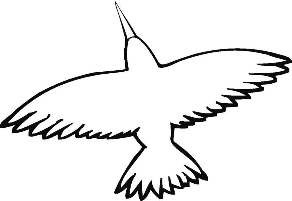 Desenho de Beijá Flor para Colorir Pdf Imprimivel