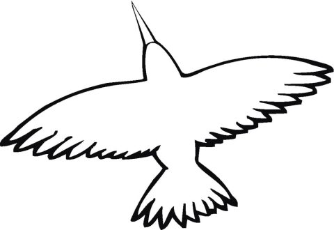 Desenho de Beija Flor para Colorir Pdf Imprimível