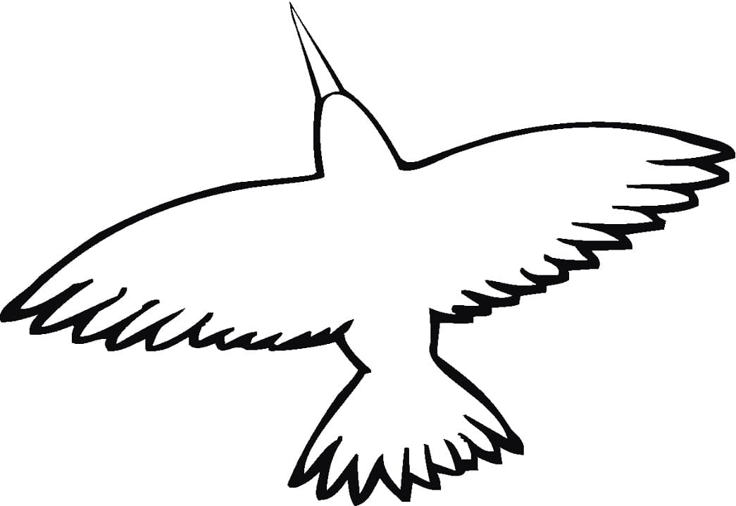 Desenho de Beijá Flor para Colorir Pdf Imprimivel