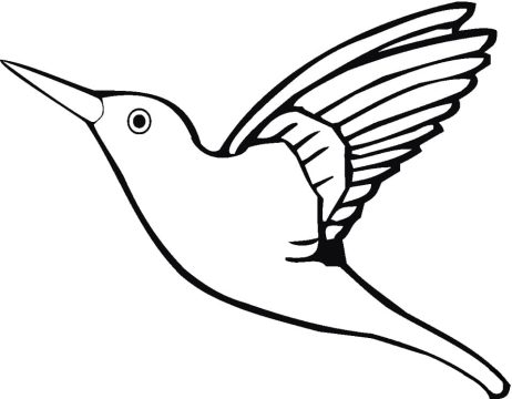 Desenho de Beija Flor para Imprimir grátis Download