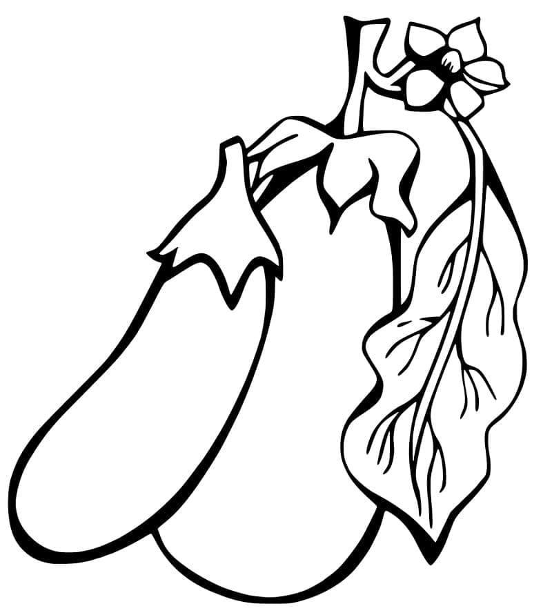 Desenho Duas Berinjelas para Colorir