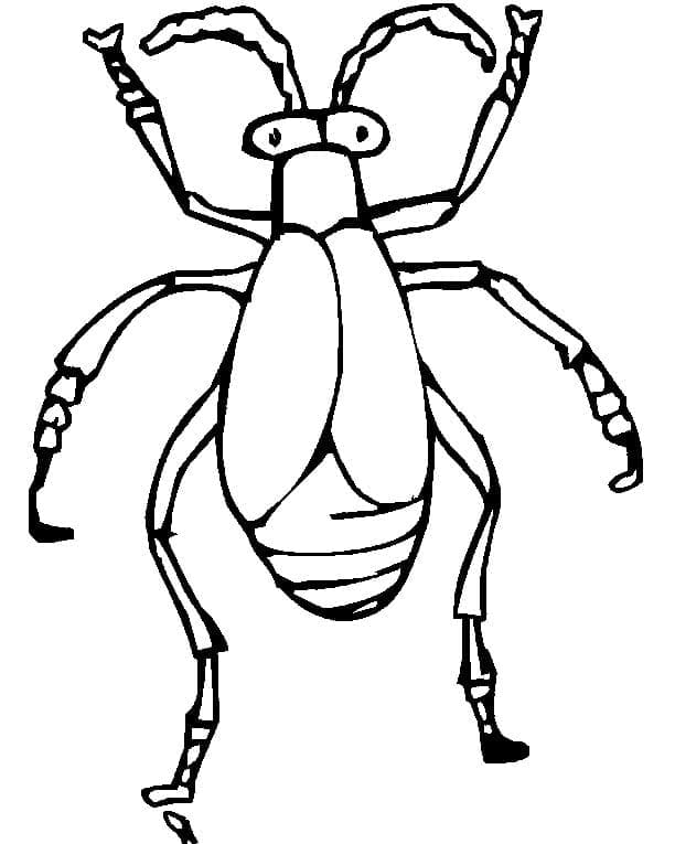 Desenho Besouro Engraçado para Colorir