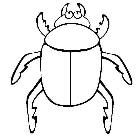 Desenho de Besouro para Colorir Baixar Lápis de Cor