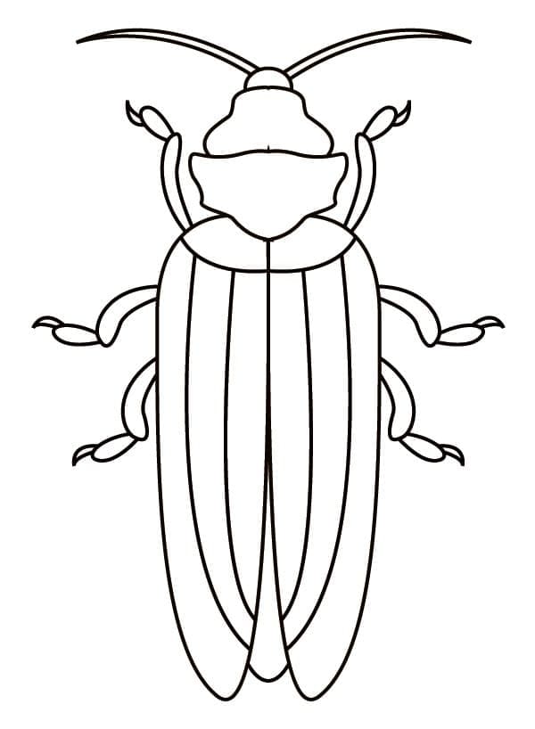 Desenho de Besouro para Colorir com Lápis de Cor