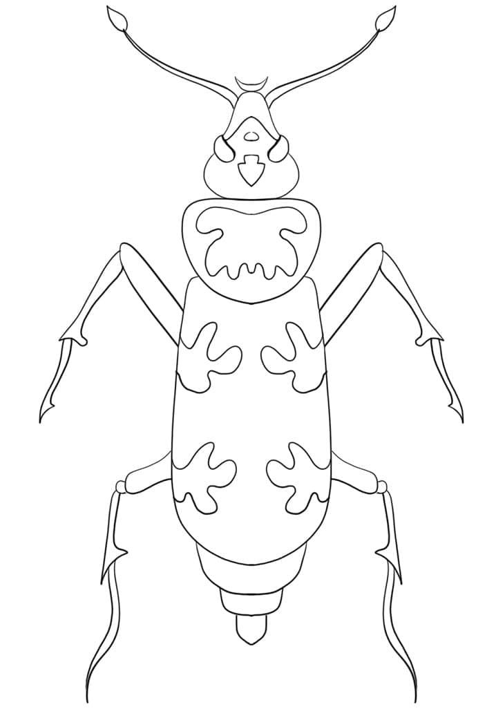 Desenho de Besouro para Colorir com Tinta Guache para Imprimir