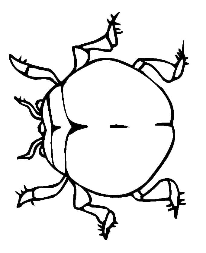 Desenho de Besouro para Colorir com Tinta Guache
