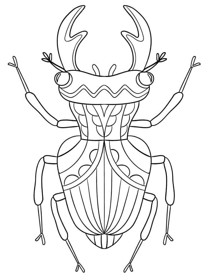 Desenho de Besouro para Colorir Download Lápis de Cor