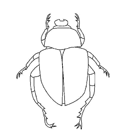Desenho de Besouro para Colorir Imprimivel Pdf