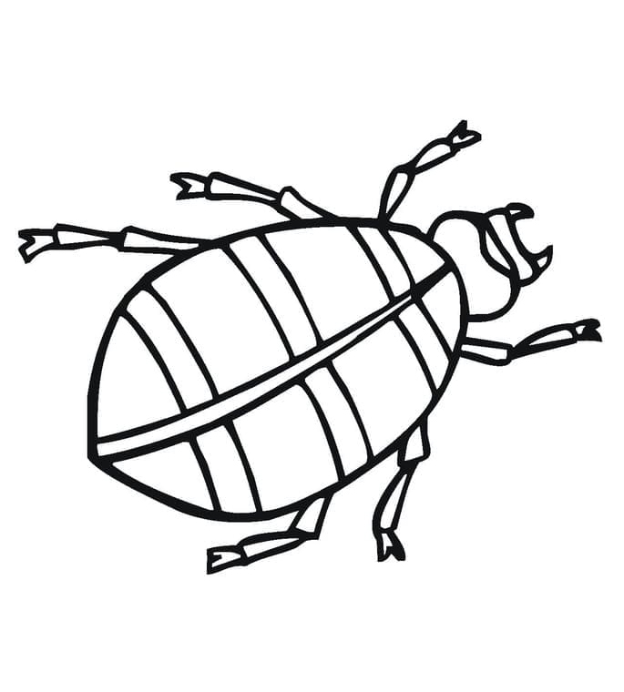 Desenho de Besouro para Colorir Pdf Imprimivel