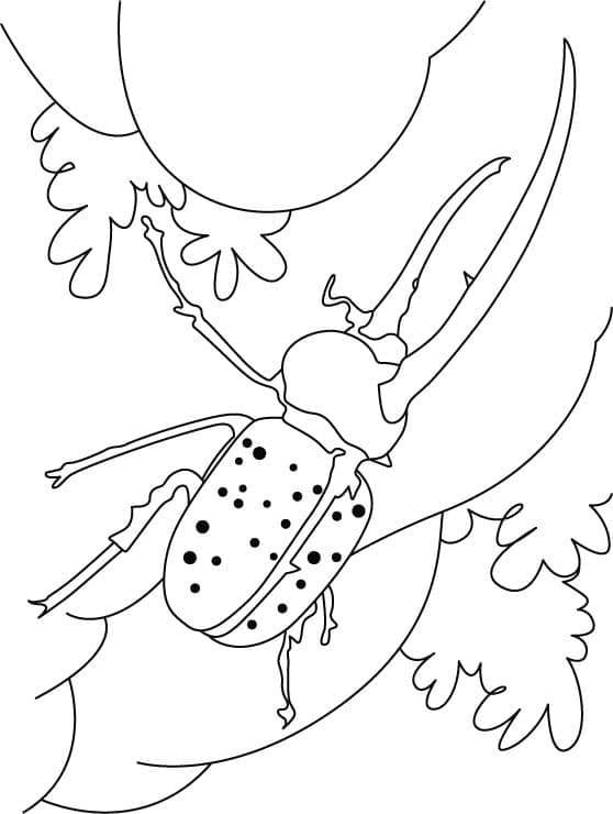 Desenho de Besouro para Imprimir Download