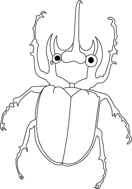 Desenho de Besouro para Imprimir Grátis Download