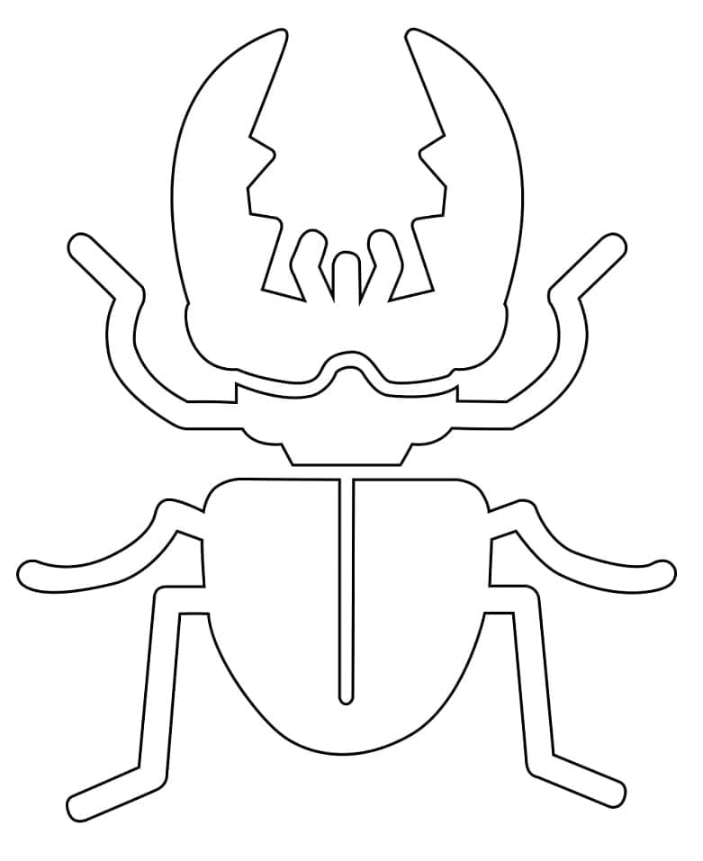 Desenho de Besouro para Imprimir Pdf