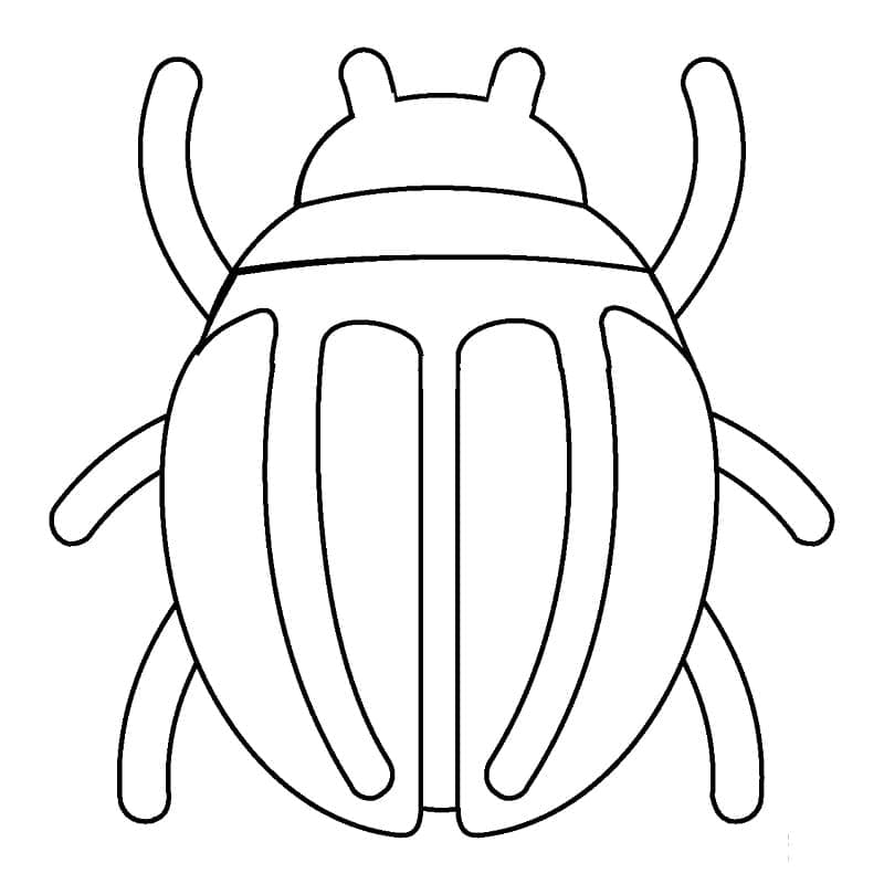 Desenho um Besouro para Colorir